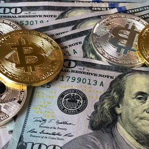 International Funds